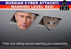 Putin and ceiling cat are watching you masturbate meme Meme Template