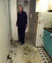 Hillary Meme Template