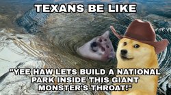 Texans be like Meme Template