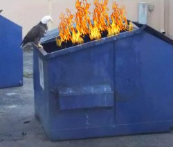 Eagle dumpster fire Meme Template