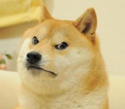 Mad wow doge Meme Template