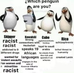 The Penguins of Madagascar Meme Template