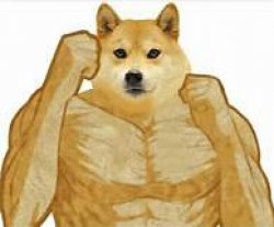 Buff Doge Ready to Fight Meme Template