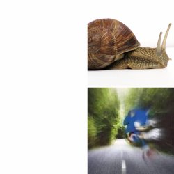Sonic vs Snail Meme Template