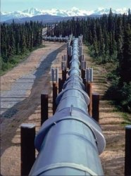Pipeline Meme Template