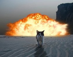 T. Ellery Hodges Action Cat Walks Away From Explosion Meme Template