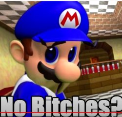 SMG4 "No Bitches?" Meme Template