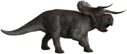 Female Nasutoceratops Meme Template