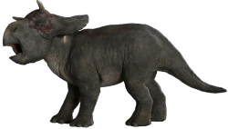 Baby Nasutoceratops Meme Template