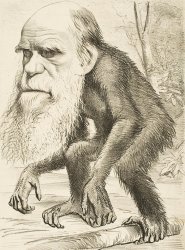 Darwin Meme Template