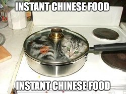 INSTANT CHINESE FOOD Meme Template