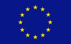European union flag Meme Template