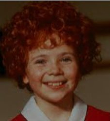 Annie Meme Template