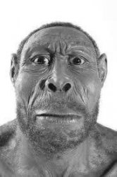 HOMOSAPIEN Meme Template