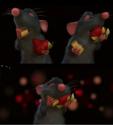 Remi eating both cheese and grape Meme Template