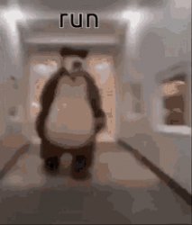 Bear chasing guy down hallway Meme Template