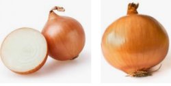 In loving memory of Onions Meme Template