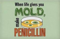 Penicillin Meme Template