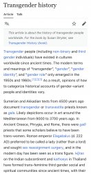 Transgender history Meme Template