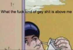 What the fuck kind of gay shit is above me Meme Template