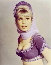 Barbara Eden Meme Template