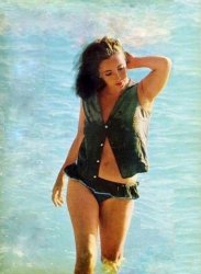Elizabeth Taylor Meme Template