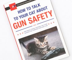 How to talk to your cat about gun safety Meme Template