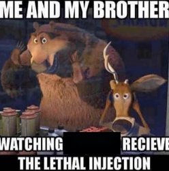 Me and my brother watching _ receive the lethal injection Meme Template