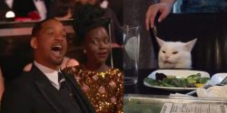 Will Smith Yelling at Cat Meme Template