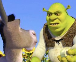 Shrek Donkey Onions Have Layers Meme Template