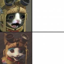 crying cat, happy cat Meme Template