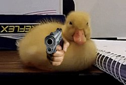 Baby Duckling Gun Meme Template