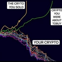 The crypto you sold Meme Template