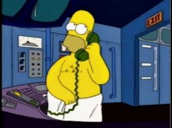 Homer wearing a towel Meme Template