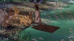 Watership Down fail Meme Template