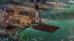 Watership down fail Meme Template