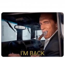 Arnold Schwarzenegger I'm Back Meme Template