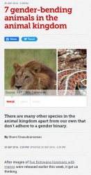 Gender-bending animals Meme Template