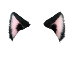 cat ears Meme Template