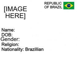 Official Brazilian Sentence Card Meme Template