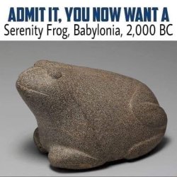 Serenity frog Meme Template