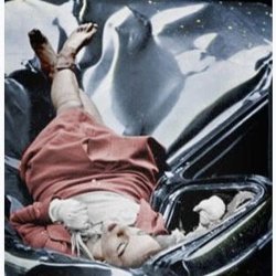 Evelyn McHale colorized Meme Template