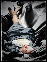 Evelyn McHale colorized Meme Template