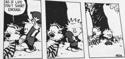 Calvin and Hobbes Meme Template