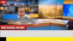 News Baby Meme Template