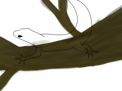 Gecko unfinished drawing Meme Template