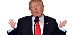 Trump Tiny Hands Meme Template