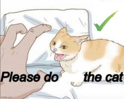 Please do the cat Meme Template