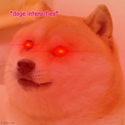doge intensifies Meme Template