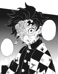 Tanjiro Kamado Meme Meme Template